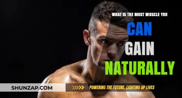 Maximizing Natural Muscle Gain: Limits, Strategies, and Realistic Expectations