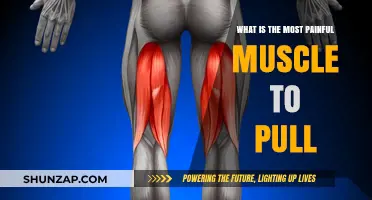 Unbearable Agony: Which Muscle Pull Causes the Most Excruciating Pain?