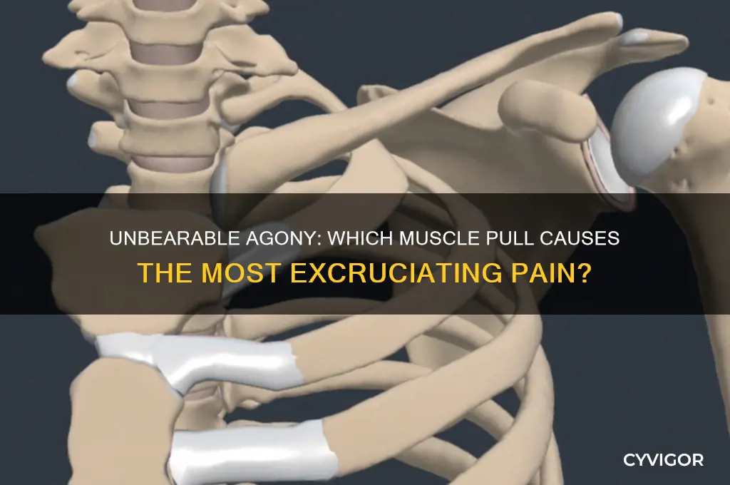what is the most painful muscle to pull