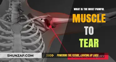 Unbearable Agony: Which Muscle Tear Causes the Most Excruciating Pain?