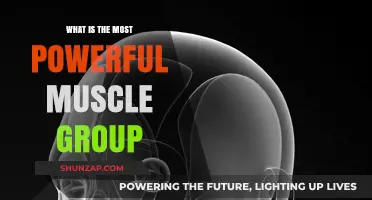 Unleashing Strength: Discovering the Body's Most Powerful Muscle Group