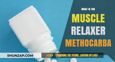Understanding Methocarbamol: A Comprehensive Guide to This Muscle Relaxer