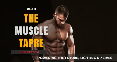 Understanding Muscle Tapering Techniques and Their Benefits