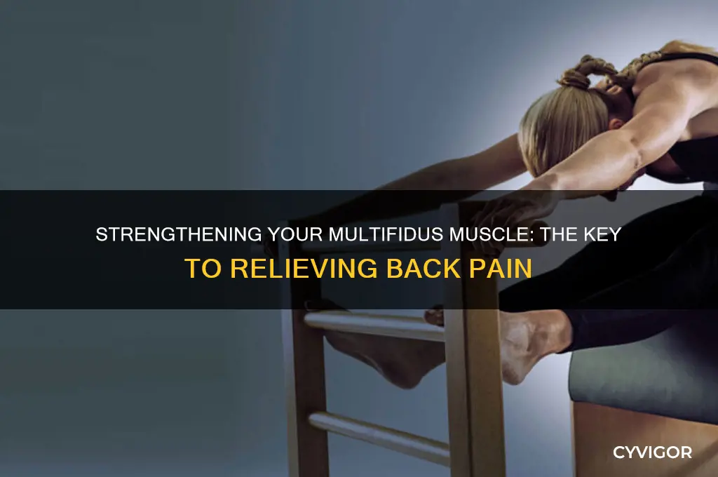 what is the muscle that need stringthing for back pain