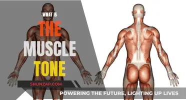 Understanding Muscle Tone: Definition, Benefits, and How to Improve It