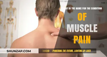 Understanding Myalgia: The Medical Term for Muscle Pain Explained