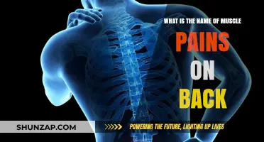 Understanding Back Muscle Pain: Causes, Symptoms, and Relief Strategies