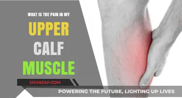 Understanding Upper Calf Muscle Pain: Causes, Symptoms, and Relief Tips