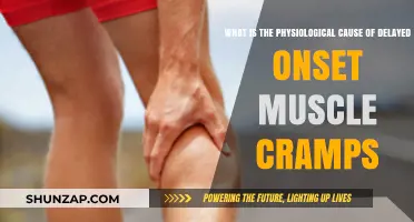Unraveling the Physiological Mystery Behind Delayed Onset Muscle Cramps