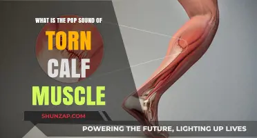 Exploring the Sudden Pop: Understanding Torn Calf Muscle Sounds