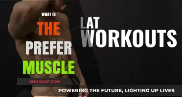 The Psoas Muscle: Your Body's Best Friend