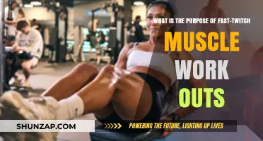Unlock Explosive Power: The Purpose of Fast-Twitch Muscle Workouts