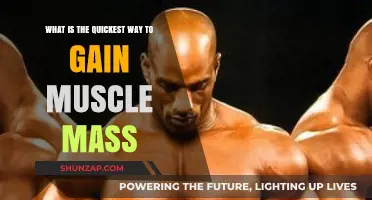 Fastest Muscle Mass Gain Strategies: Proven Methods for Quick Results