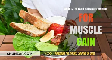 Optimal Macro Nutrient Ratio for Effective Muscle Gain Explained
