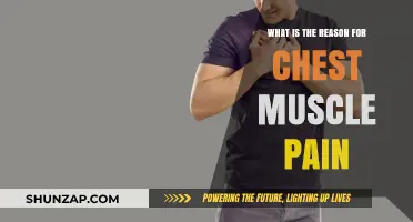 Understanding Chest Muscle Pain: Causes, Symptoms, and Effective Relief Strategies