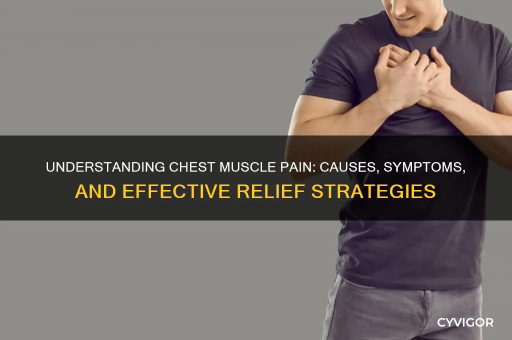 what is the reason for chest muscle pain