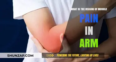 Understanding Arm Muscle Pain: Causes and Effective Relief Strategies