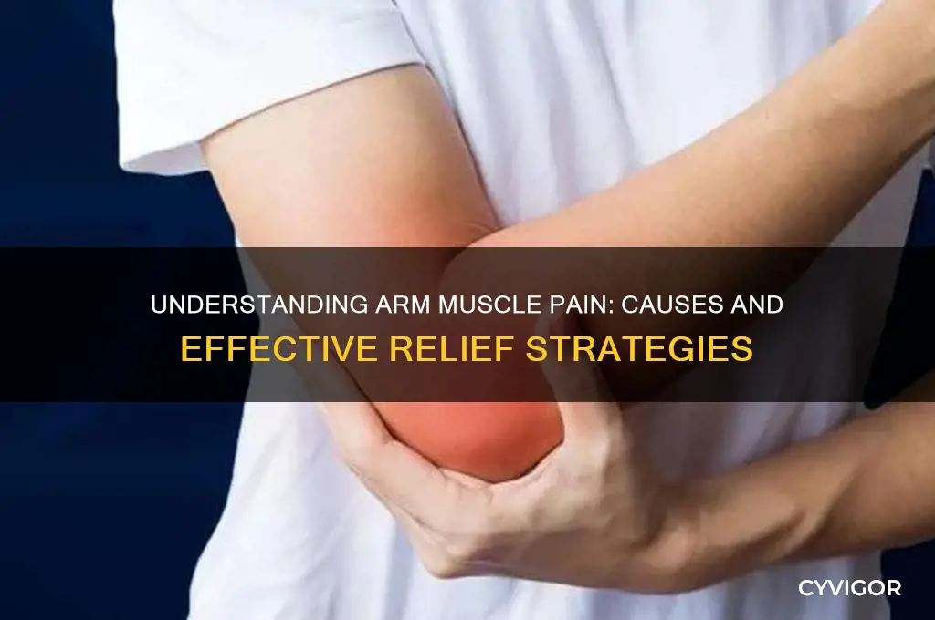 what is the reason of muscle pain in arm