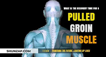 Pulled Groin Muscle Recovery: Understanding Healing Time and Rehabilitation
