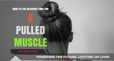 Pulled Muscle Recovery Time: Understanding Healing and Returning to Activity