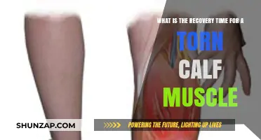 Healing a Torn Calf Muscle: What to Expect and How to Recover