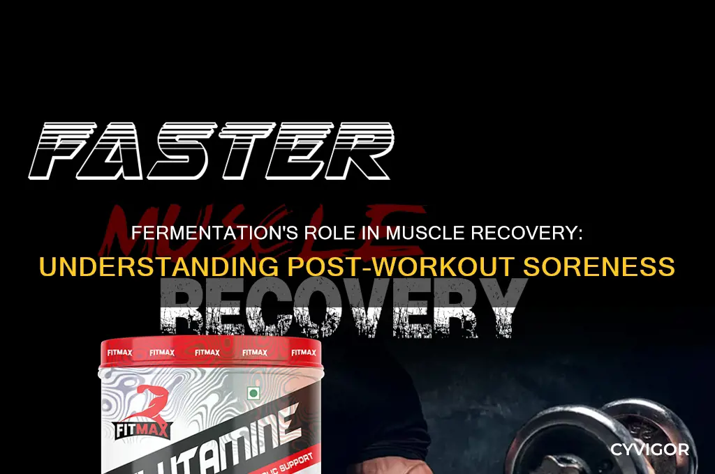 what is the relationship between fermentation and sore muscles