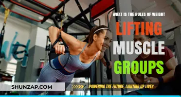Mastering Muscle Group Rules for Effective Weight Lifting Results