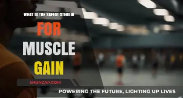 Safe Steroid Options for Muscle Gain: What You Need to Know