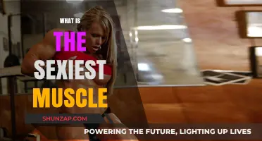The Ultimate Sexiest Muscle Revealed