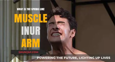 Unveiling the Spring-Like Muscle in Your Arm: Function and Fascination