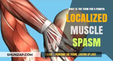 Understanding Muscle Spasms: The Term for Painful Localized Cramps Explained