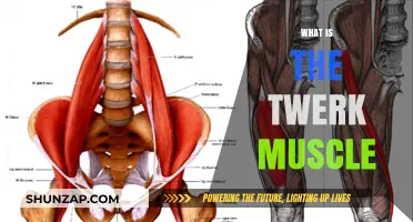 Twerk Muscle: What's the Secret Behind the Move?