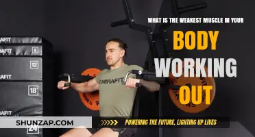 Unveiling the Weakest Muscle: Targeted Workouts for Optimal Strength Gains