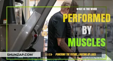 Understanding Muscle Function: The Essential Work Performed by Muscles