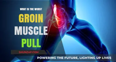 Understanding the Most Severe Groin Muscle Pull: Causes and Recovery Tips