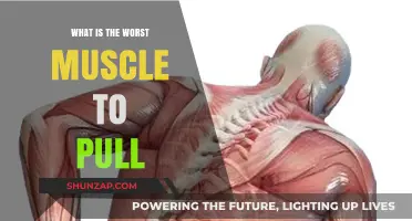 The Most Painful Muscle Pull: Which Injury Tops the List?