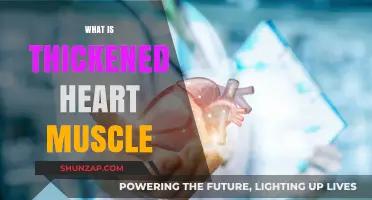 Understanding Thickened Heart Muscle: Causes and Treatment