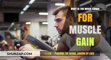 Cardio Balance: Avoiding Overdoing It for Optimal Muscle Growth