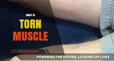 Understanding Torn Muscles: Causes, Symptoms and Treatment