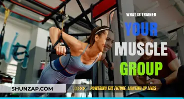 Mastering Muscle Group Training: Effective Strategies for Strength and Growth