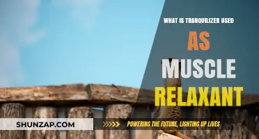 Tranquilizers as Muscle Relaxants: Uses, Benefits, and Safety Tips