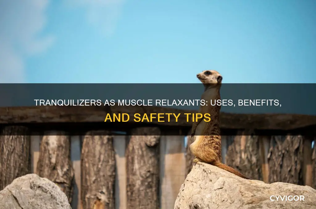what is tranquilizer used as muscle relaxant