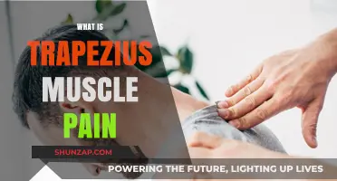 Understanding Trapezius Muscle Pain: Causes, Symptoms, and Relief Strategies