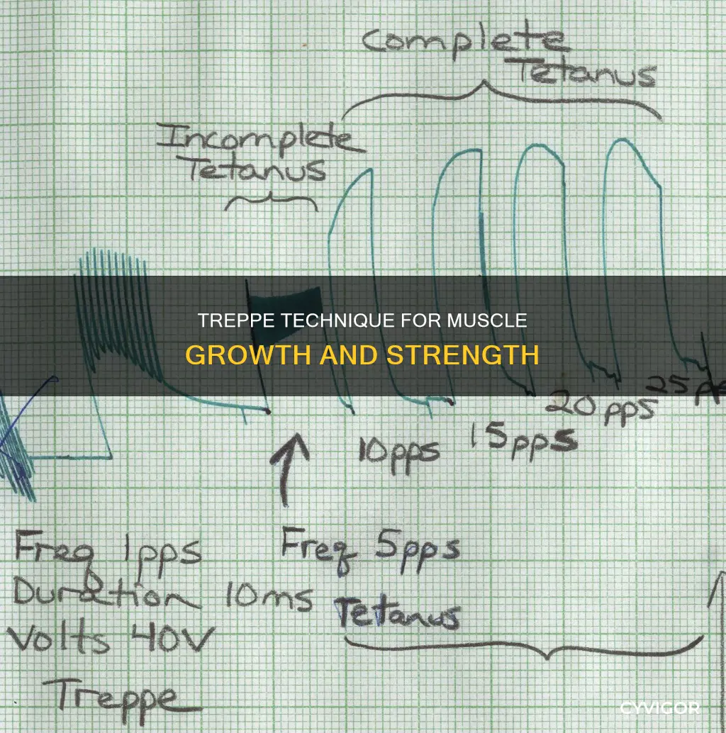 what is treppe in muscles