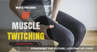 Understanding Muscle Twitching: Common Causes and When to Seek Help