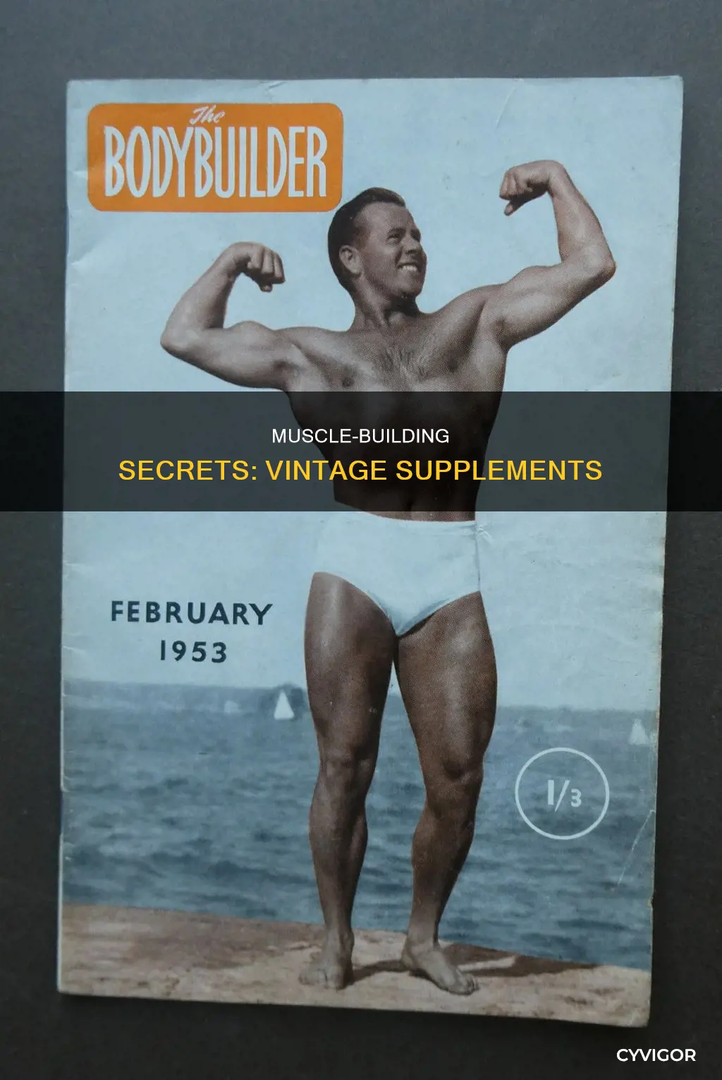 what is vintage muscle supplements