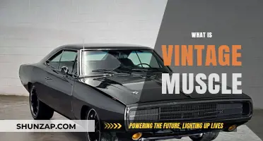Muscle Cars: Vintage Power and Performance