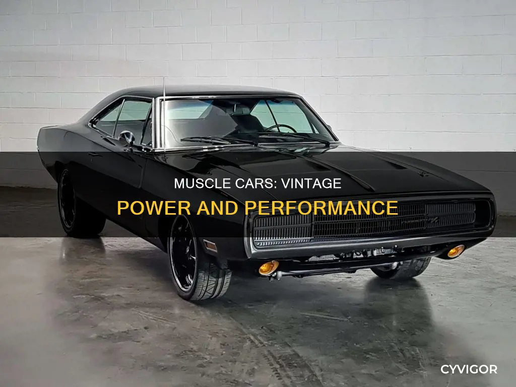 what is vintage muscle