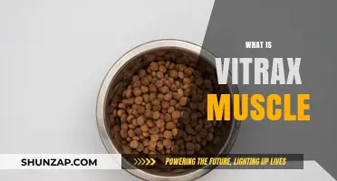 The Ultimate Guide to Vitrax Muscle