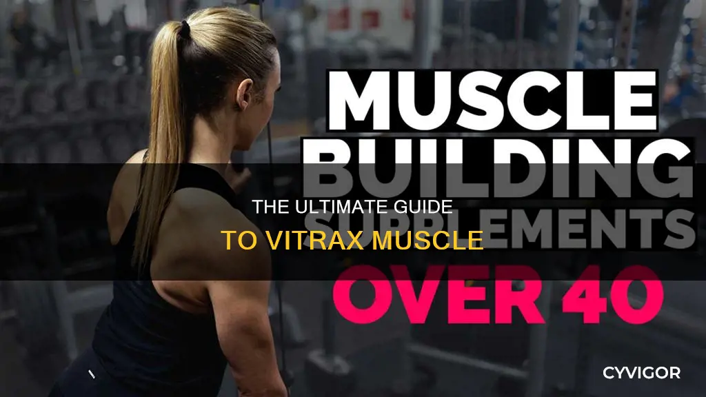 what is vitrax muscle